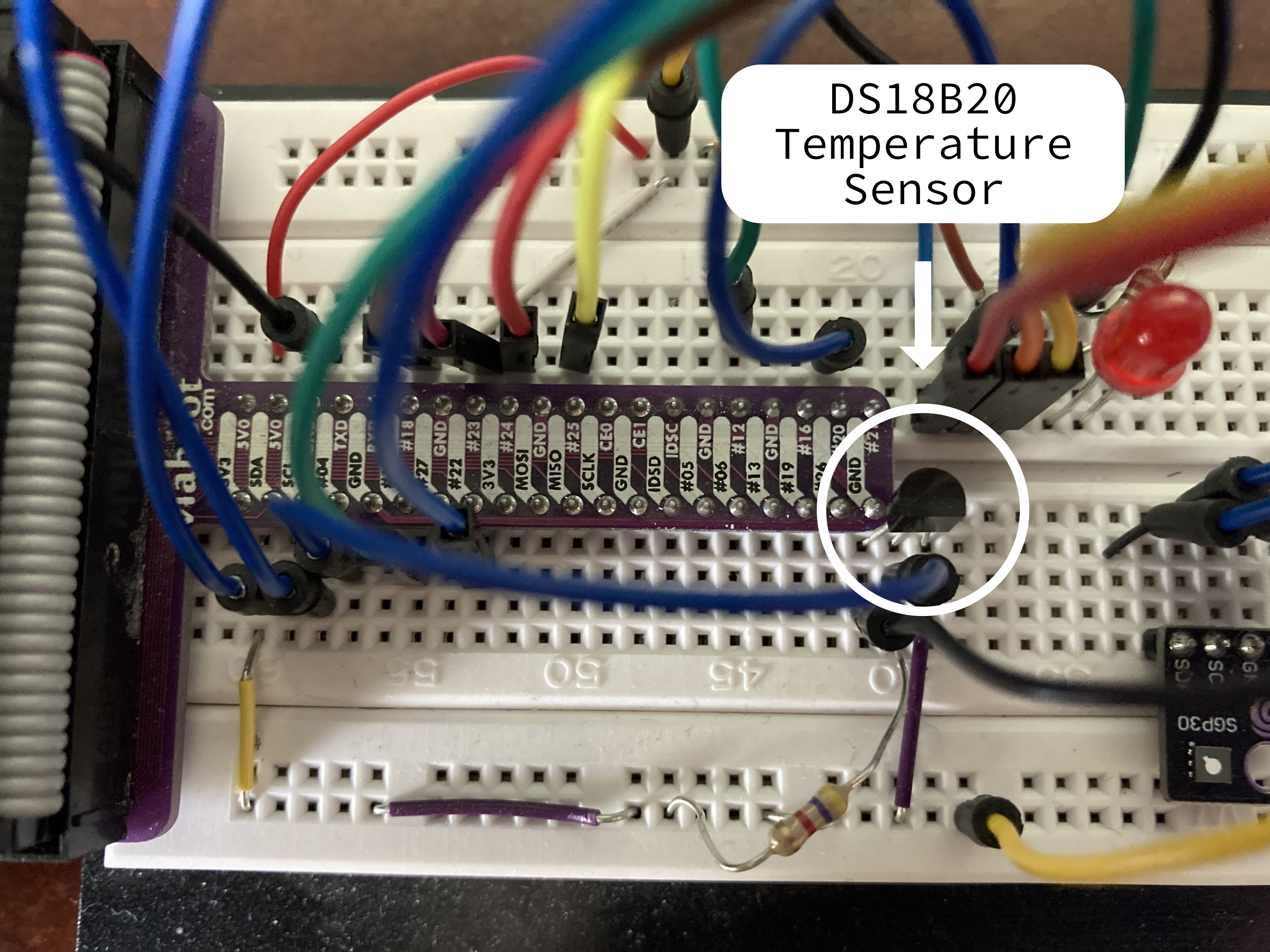 Temperature sensor